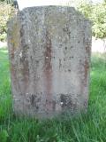 image of grave number 445667